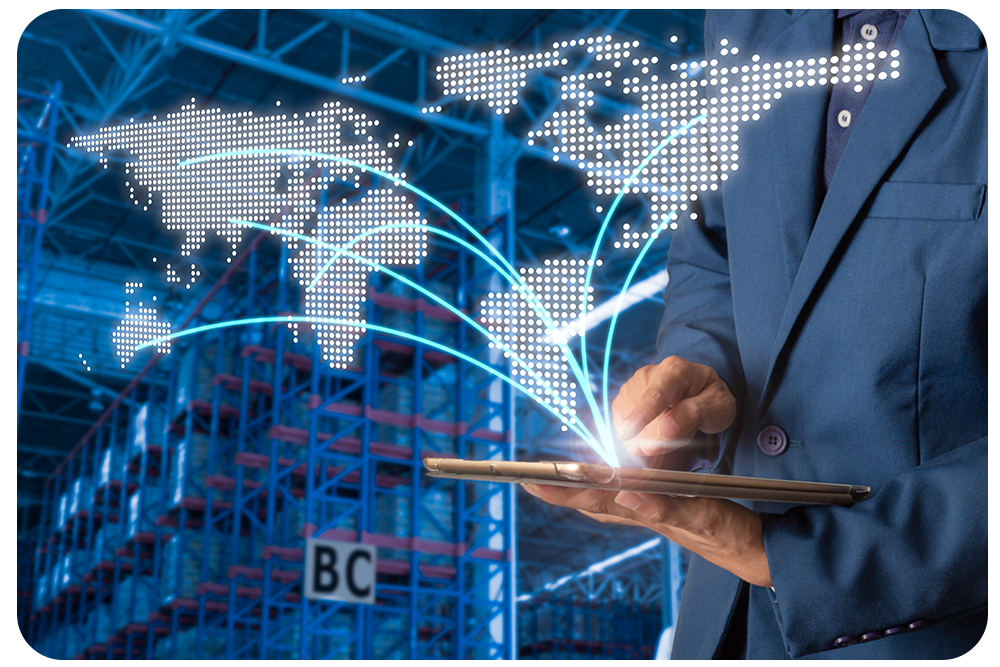 Türkiye’s E-Commerce Growth: Why Cold Chain Logistics Matters